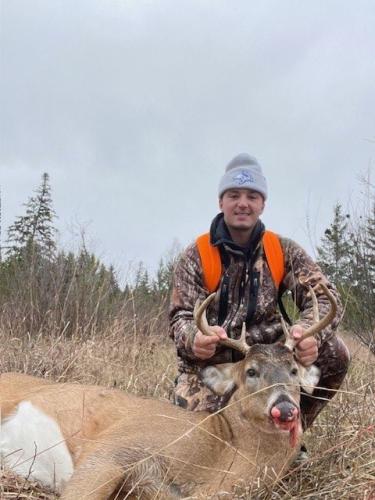 Nicholas deer